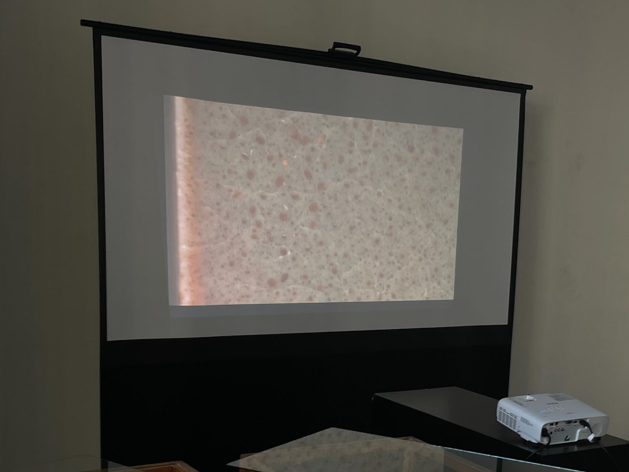 The close-up tile scan video projected on a roll up projector screen.