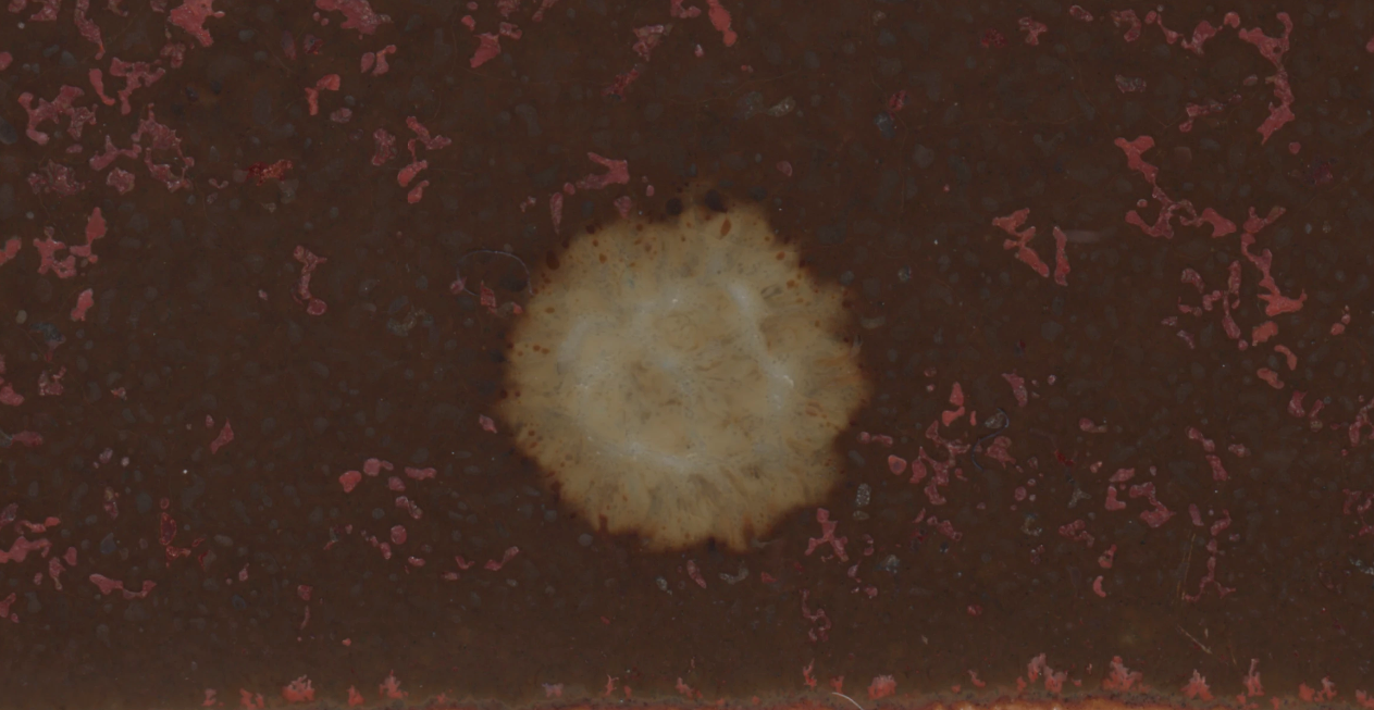Close-up scan from an accidental spill of one glaze over the test tile of another glaze.