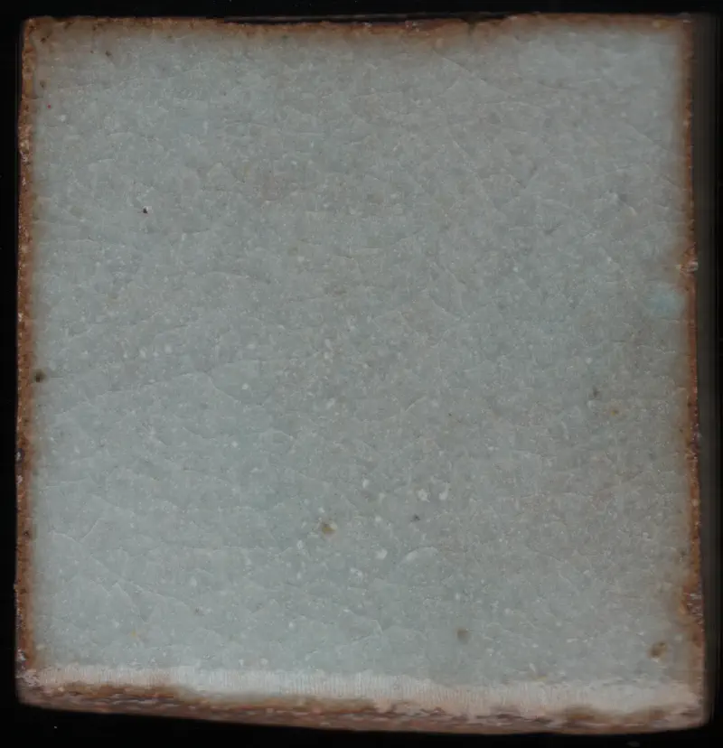 tile_20251115_130659_r00_c01.webp
