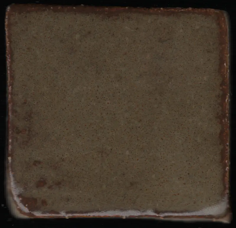 tile_20251115_125519_r00_c00.webp