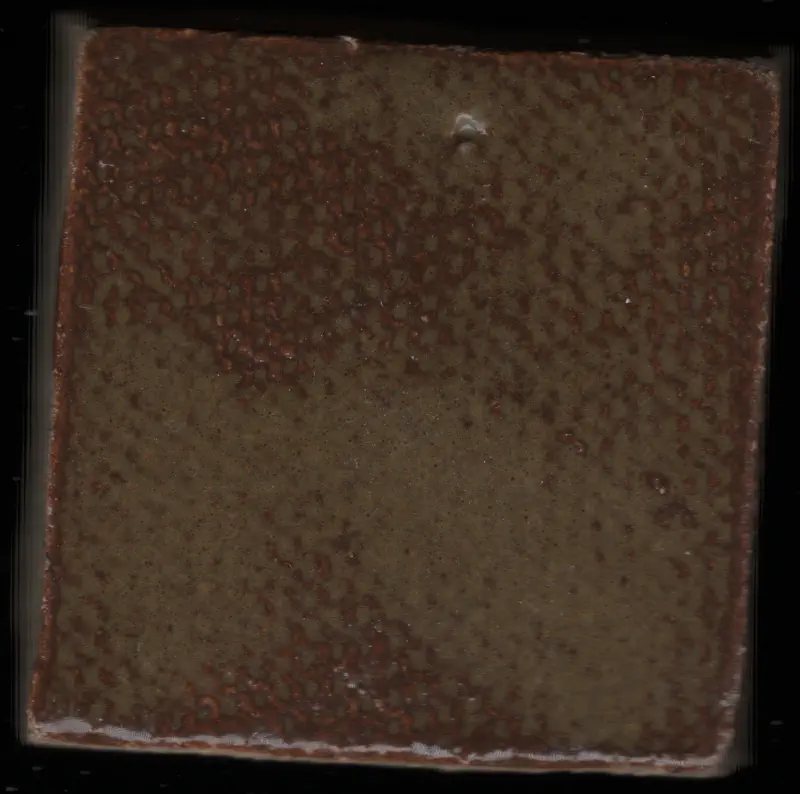 tile_20251115_132805_r01_c00.webp