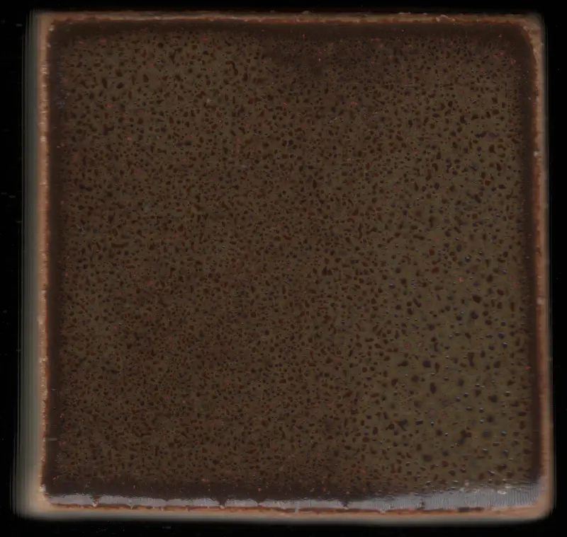 tile_20251205_223957_r01_c00.webp