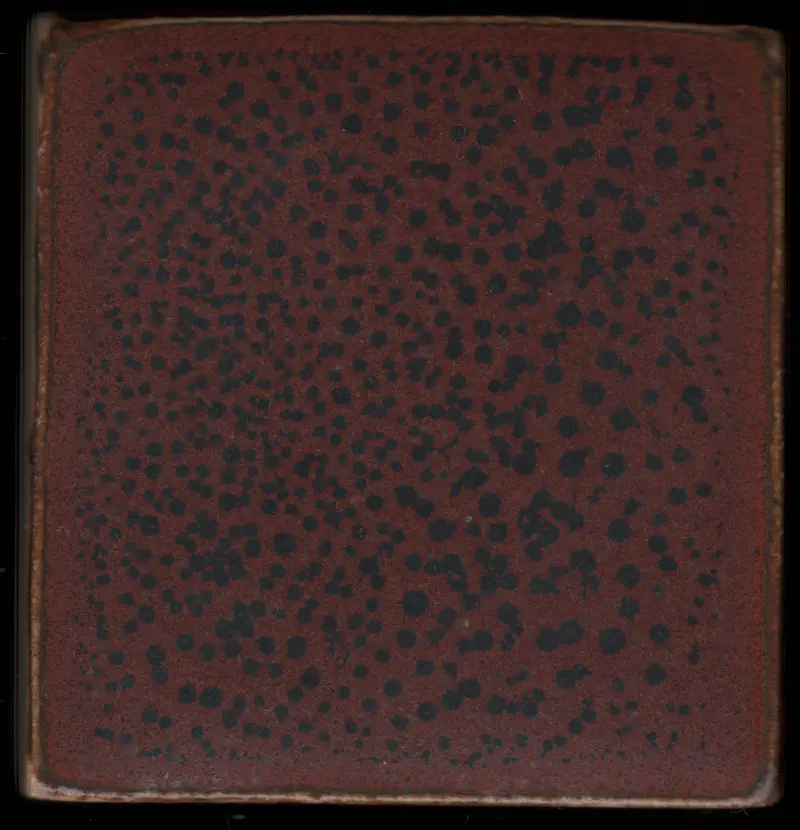 tile_20260514_133647_r04_c01.webp