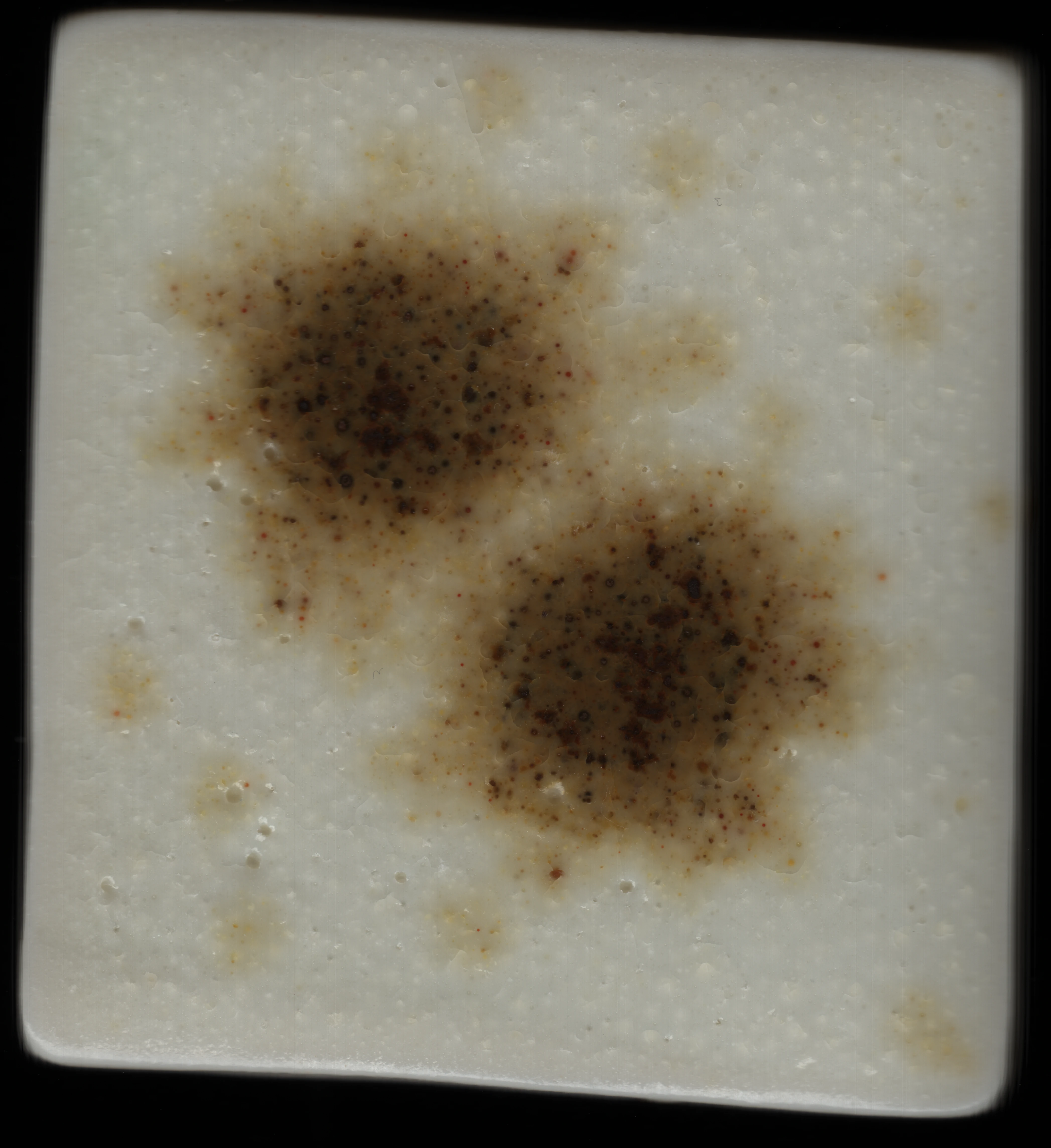 tile_20260610_231425_r03_c02.webp
