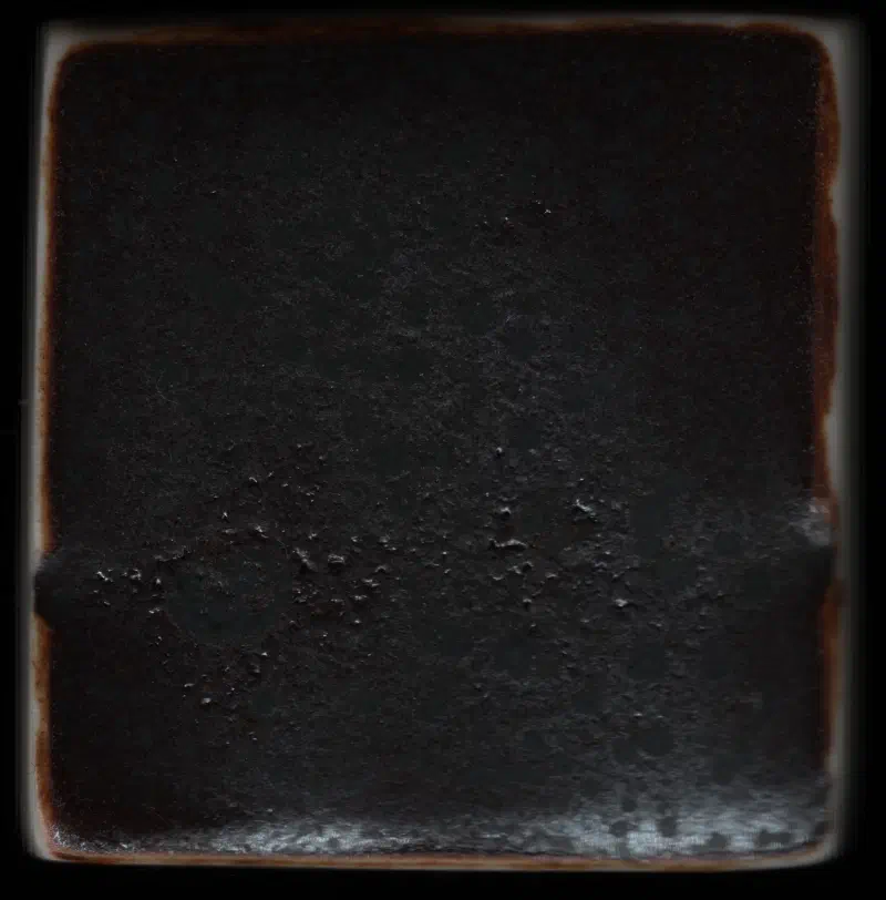 tile_20260611_080910_r01_c00.webp