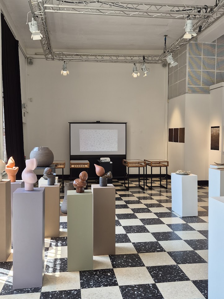 View from the exposition space, with cabinets and the tile scan video projected at the back.